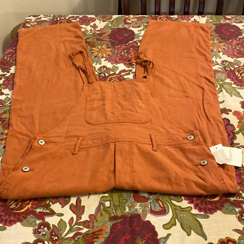 Brand new American Eagle wide leg overall size M. With tags.